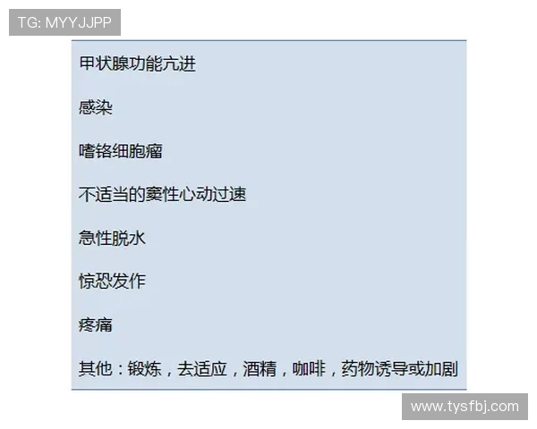 成都排球队的节奏分析与表现评估:得失之间的启示与反思 成都排球队的节奏分析与表现评估:得失之间的启示与反思