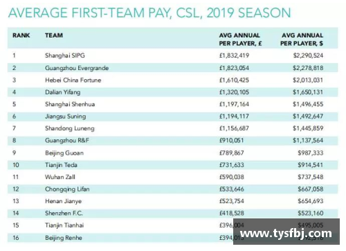 2010年球员年薪统计与职业体育竞技的经济影响