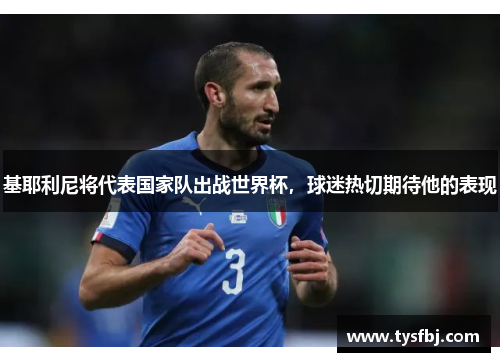 基耶利尼将代表国家队出战世界杯，球迷热切期待他的表现