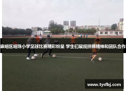 崇明区明珠小学足球比赛精彩纷呈 学生们展现拼搏精神和团队合作